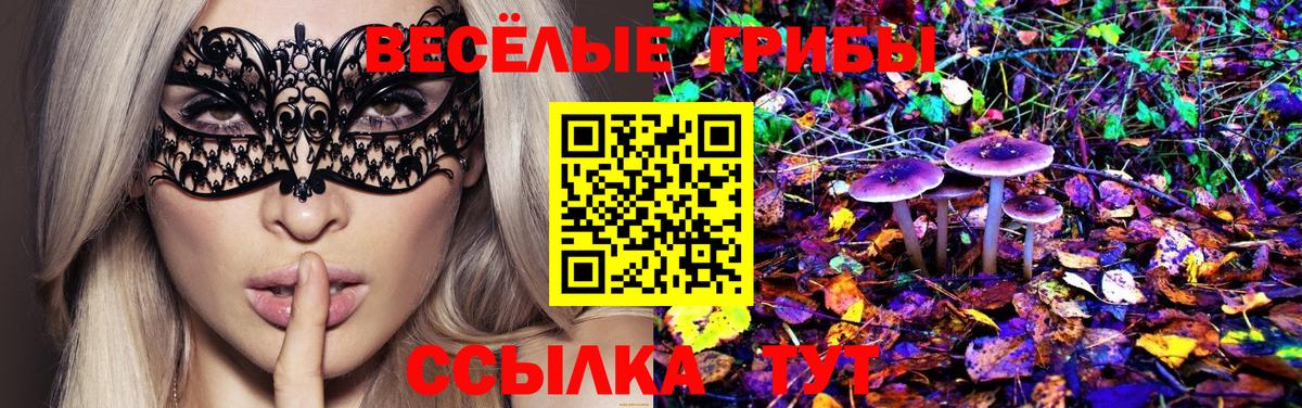 Галлюциногенные грибы GOLDEN TEACHER  Вход с VPN  Острогожск 